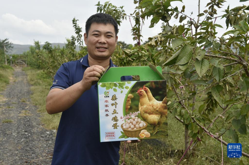 现金游戏有哪些
